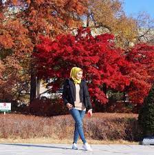 Salam uols, ke mana kita hujung tahun ni? Rizal Hakimm Jom Ke Korea Tengah Musim Luruh Autumn Facebook