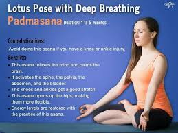 Pin By Shubhaurlabh On Yoga For Beginners Yoga Benefits Restorative Yoga How To Do Yoga