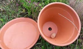 Tuto Fabriquez Des Oyas Pour Moins Arroser Votre Jardin En 2020 Jardin En Carre Petits Jardins D Eau Trucs Et Astuces Jardinage