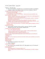 Cell biology mcq 07 multiple choice questions on meiosis with answer key and explanation. Study Guide Exam 3 Doc Study Guide Exam 3 Spring 2015 Chapter 12 The Cell Cycle Know Cell Cycle Phases Interphase G1 S G2 And Mitosis Prophase Course Hero