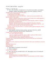 Review crossword for test level 1/2. Study Guide Exam 3 Doc Study Guide Exam 3 Spring 2015 Chapter 12 The Cell Cycle Know Cell Cycle Phases Interphase G1 S G2 And Mitosis Prophase Course Hero