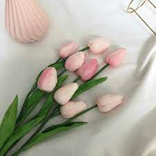 R O S I E Pink Aesthetic Flower Aesthetic Pink Tulips