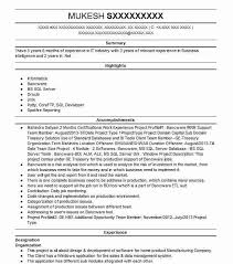 Designation Resume Example