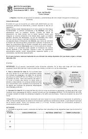 En la fase s se duplica el adn, que otra estructura se duplica en esta fase. 2 Biologia Guia De Mitosis Y Meiosis