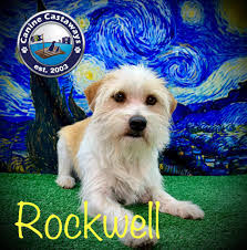 Debbie Giddens's Instagram, Twitter & Facebook