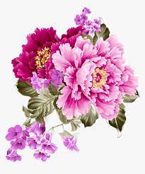 Large collections of hd transparent flower png images for free download. Transparent Free Peony Clipart Pink And Purple Flowers Png Png Download Transparent Png Image Pngitem