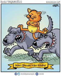 Erdil Yaşaroğlu ile ilgili görsel sonucu