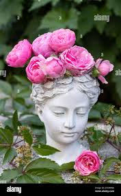 Pink flower bust hi-res stock photography and images