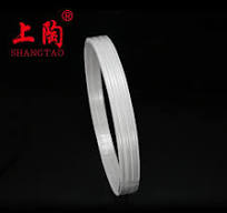 Zirconia Ceramic Ring