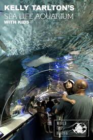 Kelly Tarlton Aquarium Auckland Nz With Kids Guide Family Travel Destinations Oceania Travel Top Travel Destinations