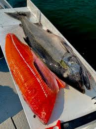 Maybe you would like to learn more about one of these? Sacramento River Fishing Guides Jeff Goodwin Fishing