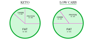 keto and low carb beginners diet guide holistic yum