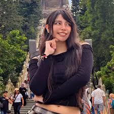 Ary Vilchis (@aryvilchis) Net Worth and Earnings: Detailed Analysis of  Income 2025 – Hafi