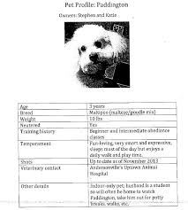 Ever See A Pet Resume Puppies Funny Maltese Poodle Mix Poodle Mix