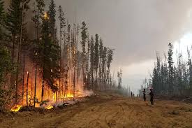 Could it we from the smoke from the wildfires? Climate Change Resilient Bc Forests University Of Victoria