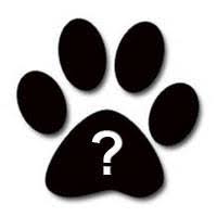 20 dog trivia questions · 1. Dog Trivia Questions Home Facebook