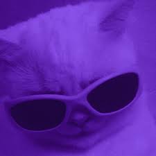 Jul 24, 2021 · sounds cool. Purple Aesthetic Grunge Glow