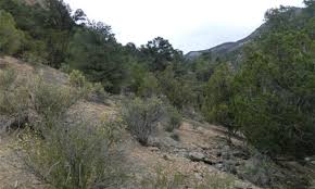 Ecological Site F028by062nv