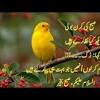 Dua is an act of worship which means to call allah almighty and ask for blessings. Https Encrypted Tbn0 Gstatic Com Images Q Tbn And9gcr8gfproukl Xcxn5pgxpmqbfuttv7j Bduua1h0la Usqp Cau