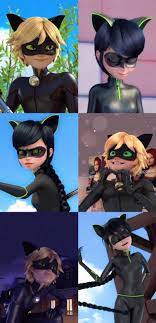 Chat Noir Lady Noire Imagenes De Miraculous Ladybug Cat Noir Memes De Miraculous Ladybug