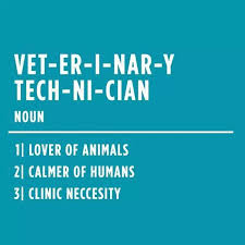  Veterinary Technician Noun Vet Tech Quotes Vet Tech Humor Vet Tech School