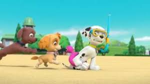 Shark tale be poppin right now in the hizayy. Mxtube Net Paw Patrol Air Pups Dailymotion Mp4 3gp Video Mp3 Download Unlimited Videos Download