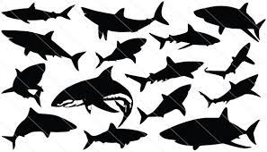 Shark Silhouette Vector Shark Silhouette Silhouette Vector Fish Silhouette