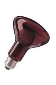 General Electric 100w Infrared Isitici Ampul 100w Lamba Trendyol