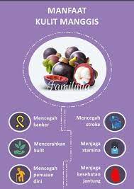 Mengapa kulit manggis berkhasiat untuk penyembuhan diabetes melitus ? Buah Manggis Photos Facebook