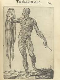 Wrap yourself around the intricacies of muscle fibers and muscle mechanics. Welcome To Ms Stephens Anatomy And Physiology And Environmental Science Class Website Anatomy And Physiology