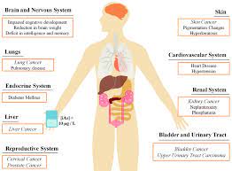 Health Effects Associated With Chronic Exposure To Inorganic Arsenic Download Scientific Diagram