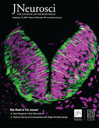 First of all, search a code you need from roblox itself. Rgma Induced Neo1 Proteolysis Promotes Neural Tube Morphogenesis Journal Of Neuroscience