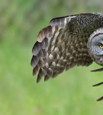 Darren Hebert (@darren_w_hebert) • Instagram photos and videos