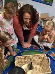 Ms Traci's Small Scholars