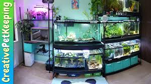 My Aquarium Racks Hold 1 640 Pounds Heavy Duty Steel Fish Tank Stand Youtube