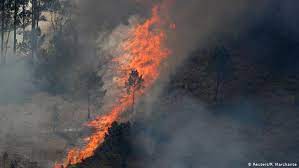 Portugal com 47 concelhos do interior norte, centro e algarve em risco máximo de incêndio. Grande Incendio Florestal Atinge Portugal Noticias Internacionais E Analises Dw 22 07 2019
