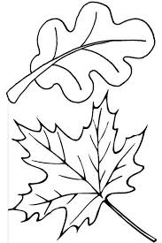 Download or print for free. Fall Leaves Coloring Page Leaf Coloring Page Fall Coloring Pages Fall Leaves Coloring Pages