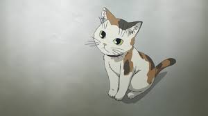 Because the vast majority of calico cats are female (only 1 in every 3,000 calicos are male), the names we've selected lean that way. Sphynx Toaru Majutsu No Index Wiki Fandom