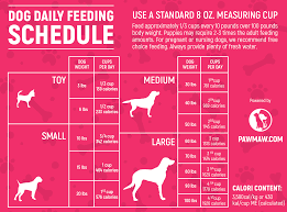 The Ultimate Dog Feeding Schedule Time And Chart
