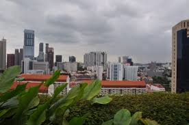 The orchidaceae are a diverse and widespread family of flowering plants, with blooms that are often colourful and fragrant, commonly known as the orchid family. View From Orchid Club Lounge Roof Terrace Picture Of Parkroyal Collection Pickering Singapore Singapore Tripadvisor