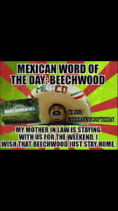Pin By Luis Paz On Mexican Word Of The Day Mexican Words Mexican Jokes Funny Insults