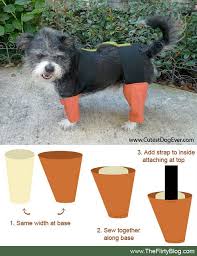 How To Turn Your Dog Into A Live Chia Pet This Halloween Pet Halloween Costumes Chia Pet Costumes Dog Halloween