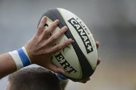 Les quarts de finale débuteront ensuite vendredi 2. Top 14 Trois Matches Amicaux Sur Canal Avant La Reprise L Equipe