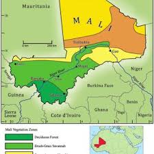 Image result for Andropogon perligulatus