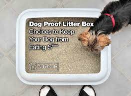 The first thing you need to do when making your mess free cat litter box is to cut out the opening at the top of the lid on your plastic tote container. 12 Dog Proof Litter Box Choices To Keep Your Dog From Eating S All Pet S Life