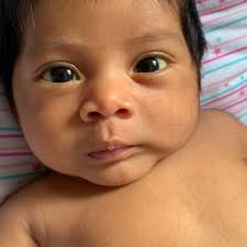 Juan Jose Trujeque Garrido