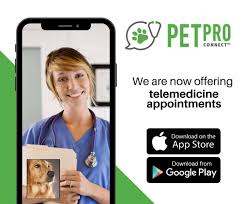 We're continuing the same great care of petpro connect and creating a new boehringer ingelheim company solely focused on delivering innovative digital health solutions for every pet. South Bay Veterinary Hospital We Are Open For Low Contact Appointments And Are Now Offering Telemedicine Where We Can Help Care For Your Pet Via Video Consultation This Service Is Delivered