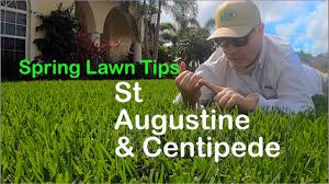 Contains high quality feed grade ingredients: 2021 Early Spring Lawn Care Steps Youtube