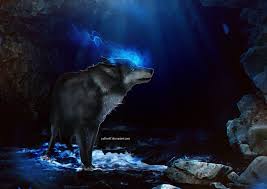 Black Sheep By Yellwolf Deviantart Com On Deviantart Fantasy Wolf Wolf Pictures Indian Wolf