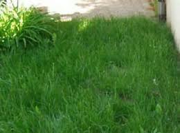 Günstige gartenbänke über markt.de kleinanzeigen suchen oder kostenloses inserat aufgeben. Pacht Grundstucke Garten Mieten Und Kaufen In Wurzburg Ebay Kleinanzeigen